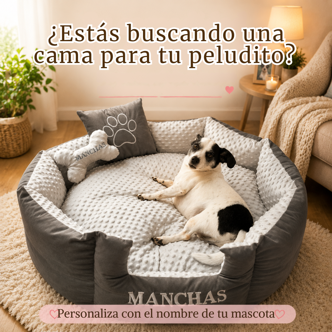 CAMA TRADICIONAL